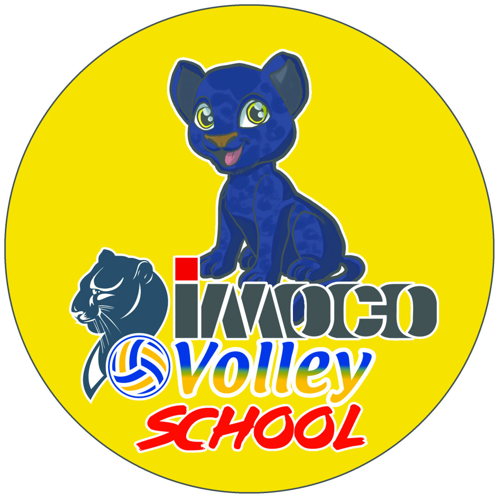 ImocoVolleyAcademy